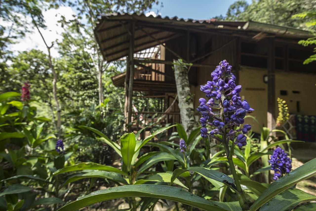 Lamas Chirapa Manta Amazon Lodge מראה חיצוני תמונה