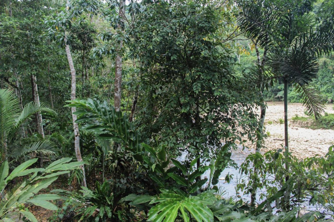 Lamas Chirapa Manta Amazon Lodge מראה חיצוני תמונה