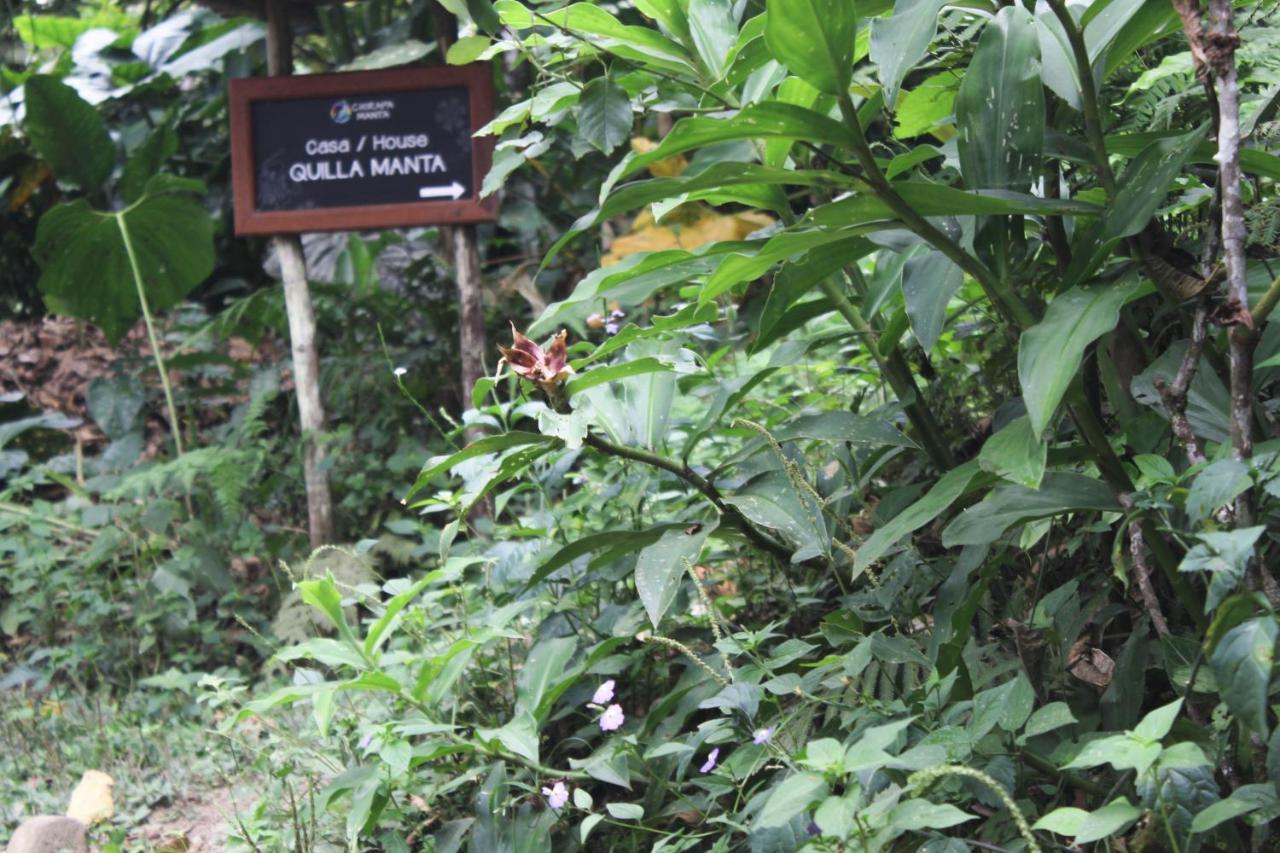 Lamas Chirapa Manta Amazon Lodge מראה חיצוני תמונה